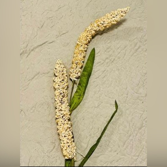 *Cream Millet Stem, 30” Bundle of 3 - Picture 4 of 10
